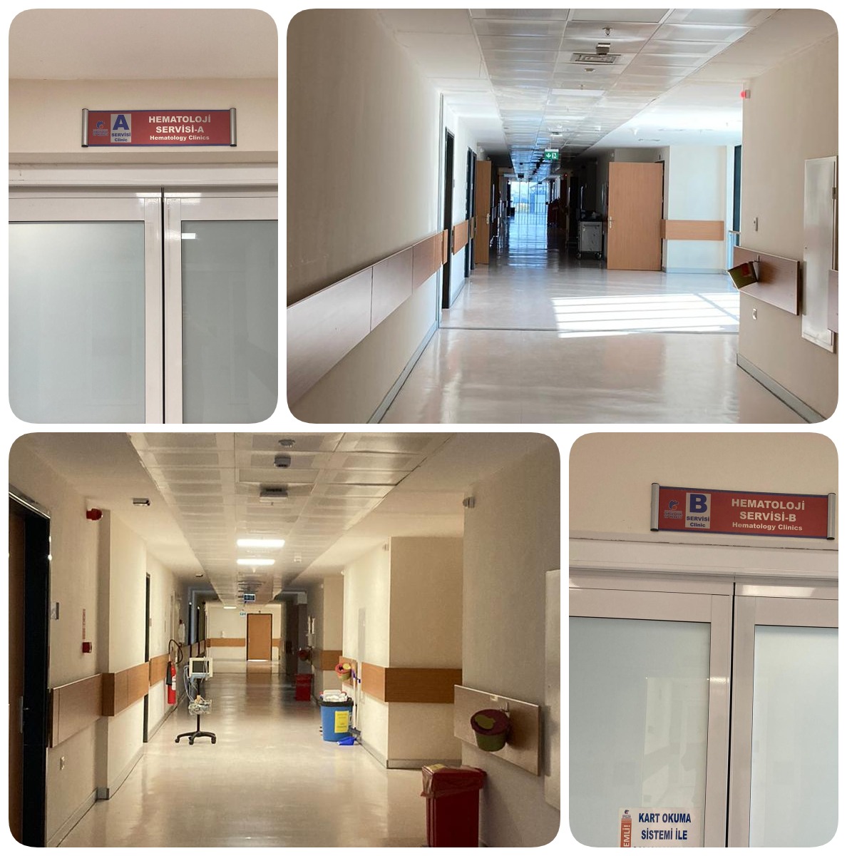 Hematoloji Servisi